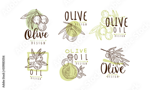 Olive Oil Labels and Logos Design Vector Set