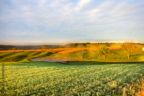 iowa