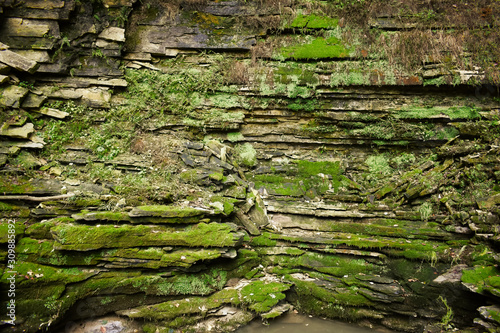 Mossy Glenn