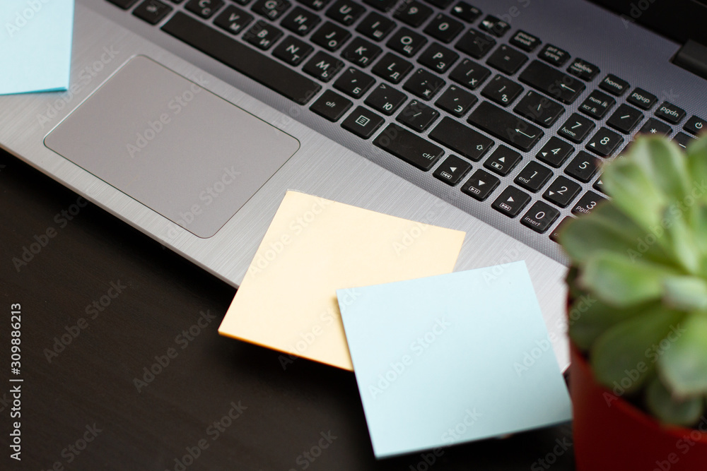 Communications flat lay with blank sheet of paper stickers and laptop on a black desk with and potted succulent plant. Communications flat lay with blank sheet of paper stickers and laptop on a black desk with and potted succulent plant.