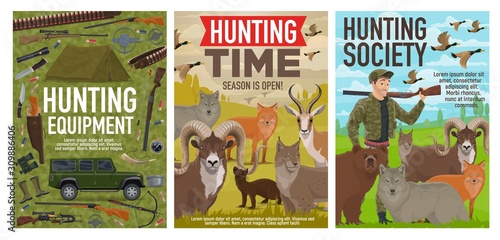 Hunting equipment, hunt wild animals and birds, safari and forest hunt open season posters. Vector hunter ammo rifle guns and traps for wolf and fox, bear and gazelle, mountain sheep and ermine