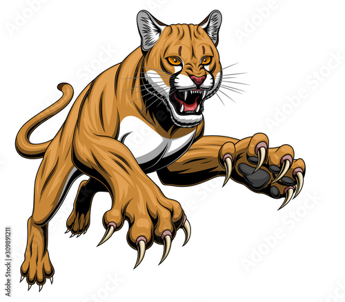 Leaping cougar
