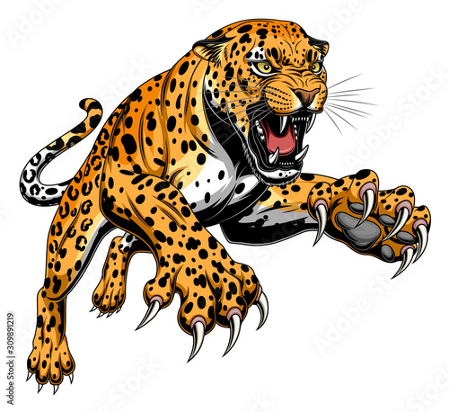 Leaping leopard