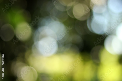 abstract pattern green bokeh nature background spring and soft sun light and leaf green with light blur. green background design banner texture or wallpaper 