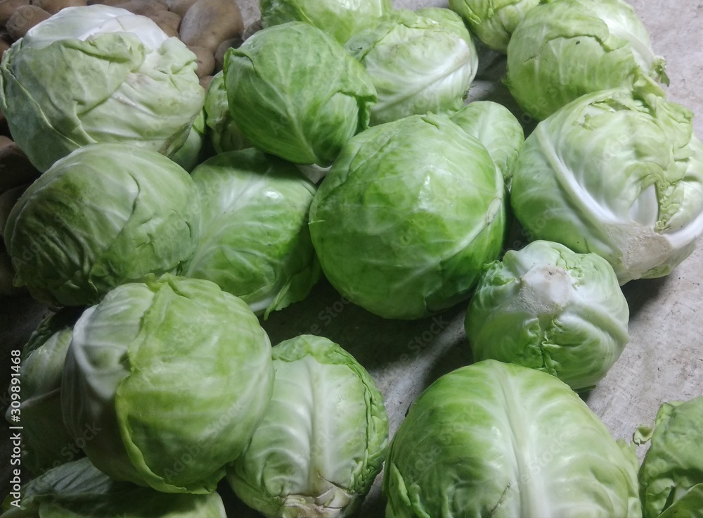 Fototapeta premium Fresh cabbages in a vegetable market