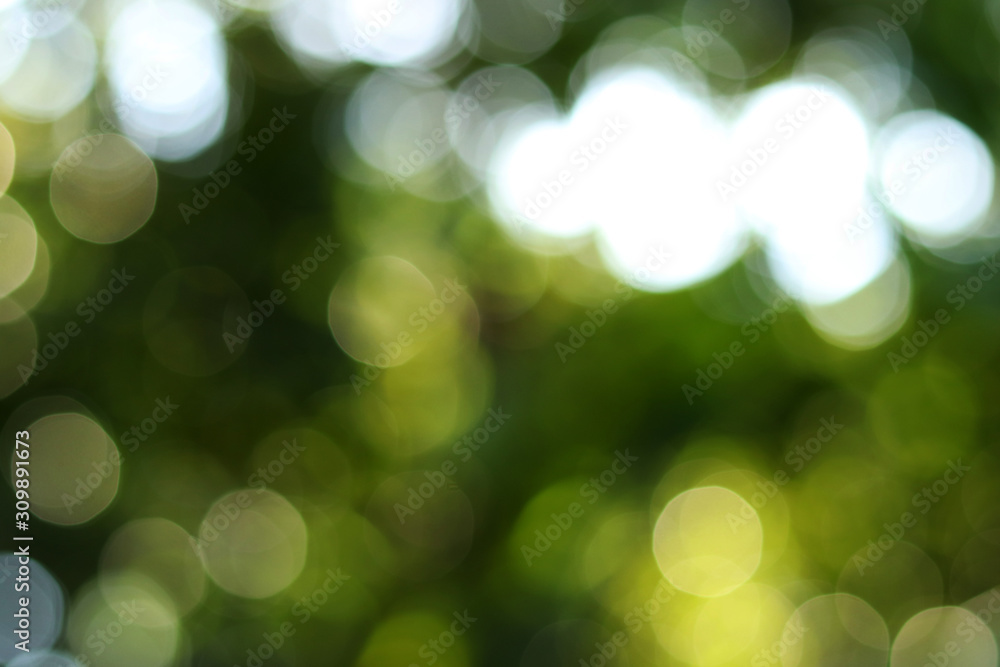 abstract pattern green bokeh nature background spring and soft sun light and leaf green with light blur. green background design banner texture or wallpaper abstract pattern green bokeh nature background spring and soft sun light and leaf green with light blur. green background design banner texture or wallpaper