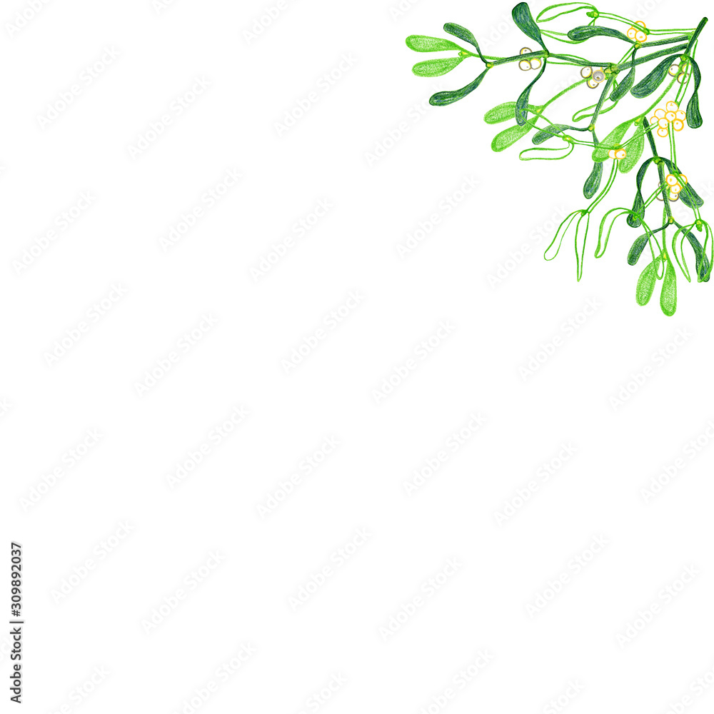 Fototapeta premium Christmas composition