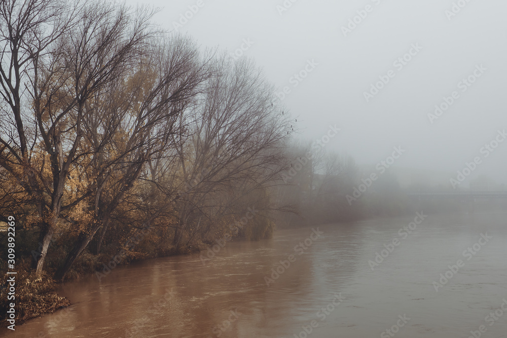 misty and melancholic morning on the river at winter misty and melancholic morning on the river at winter