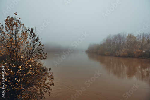 misty and melancholic morning on the river at winter