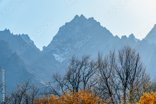 Wallpaper Mural North Ossetia. Mountain peaks in the fall. Orange tree crowns. Falling foliage. Torontodigital.ca