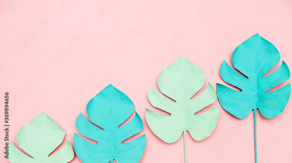 Monstera leaves on pink background.