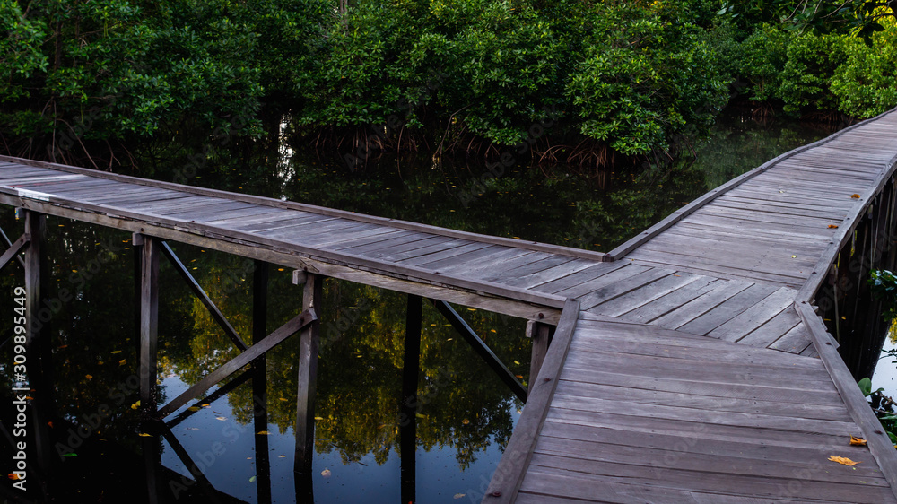 Boardwalk /wooden pathway surrounded with mangrove plants at Kutai National Park, Indonesia