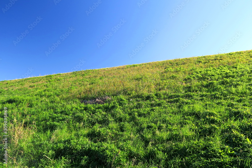 冬の江戸川土手風景 冬の江戸川土手風景