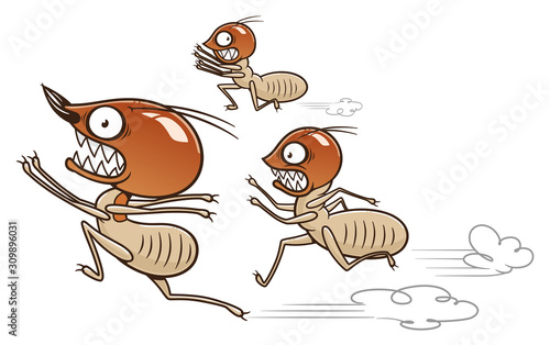 Termites running away