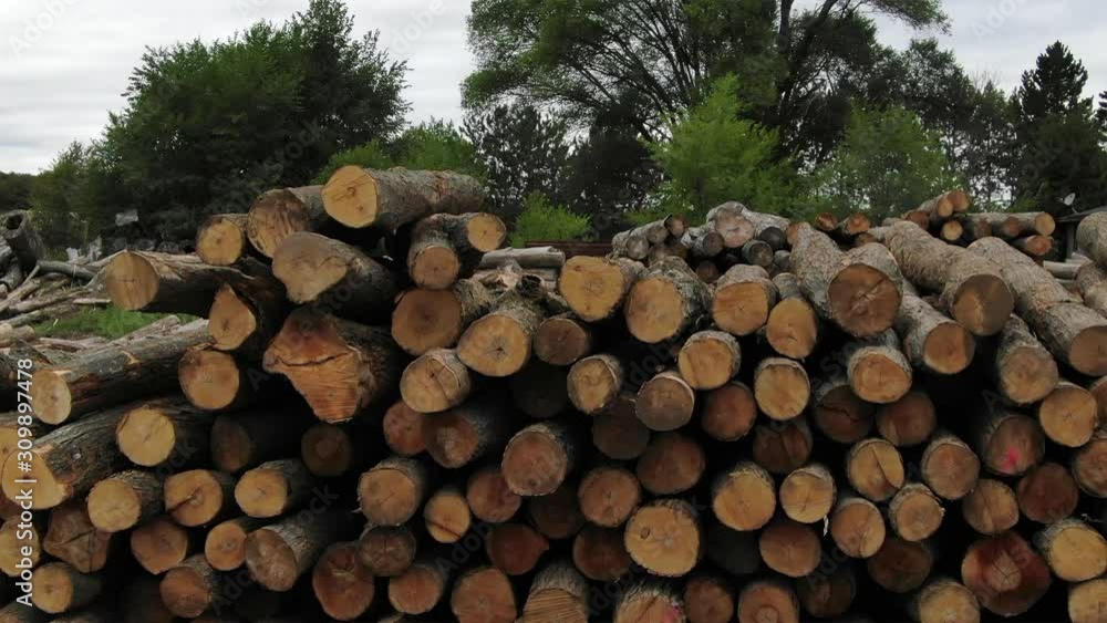 Logging wood mill in Northern Michigan with piles of logs stacked up for lumber production Logging wood mill in Northern Michigan with piles of logs stacked up for lumber production