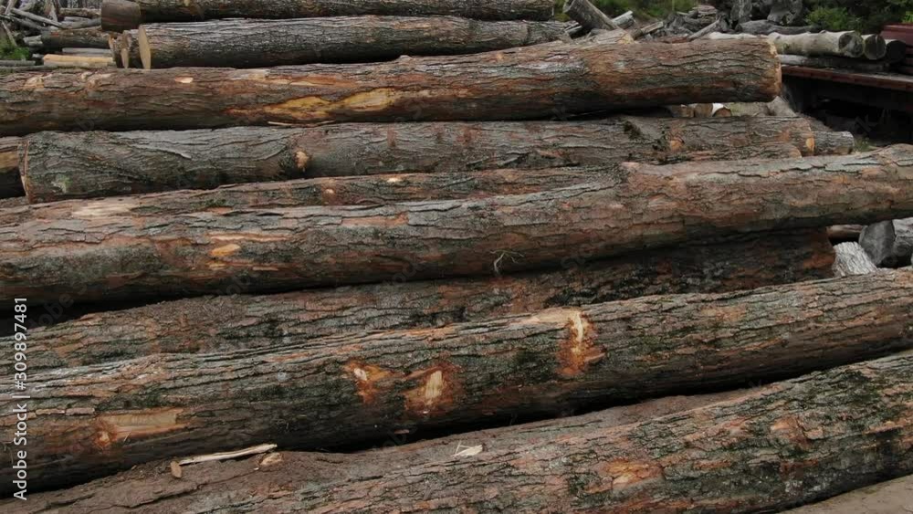 Logging wood mill in Northern Michigan with piles of logs Logging wood mill in Northern Michigan with piles of logs
