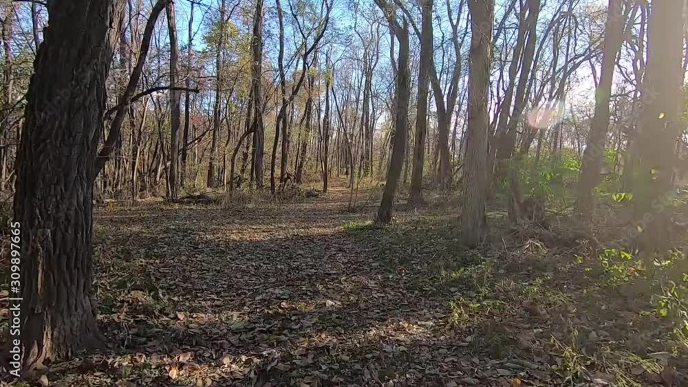 Double time; Point of View through the woods in the autumn on a leaf covered dirt trail on a sunny day; POV, 2X Double time; Point of View through the woods in the autumn on a leaf covered dirt trail on a sunny day; POV, 2X