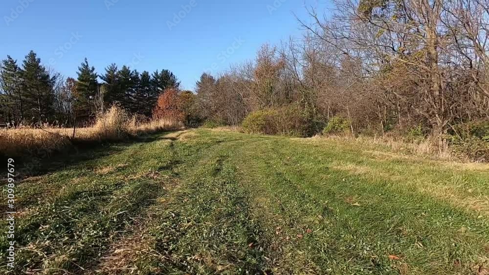 Point of view from rear of off road vehicle through the woods and along a field and into a clearing; POV Point of view from rear of off road vehicle through the woods and along a field and into a clearing; POV