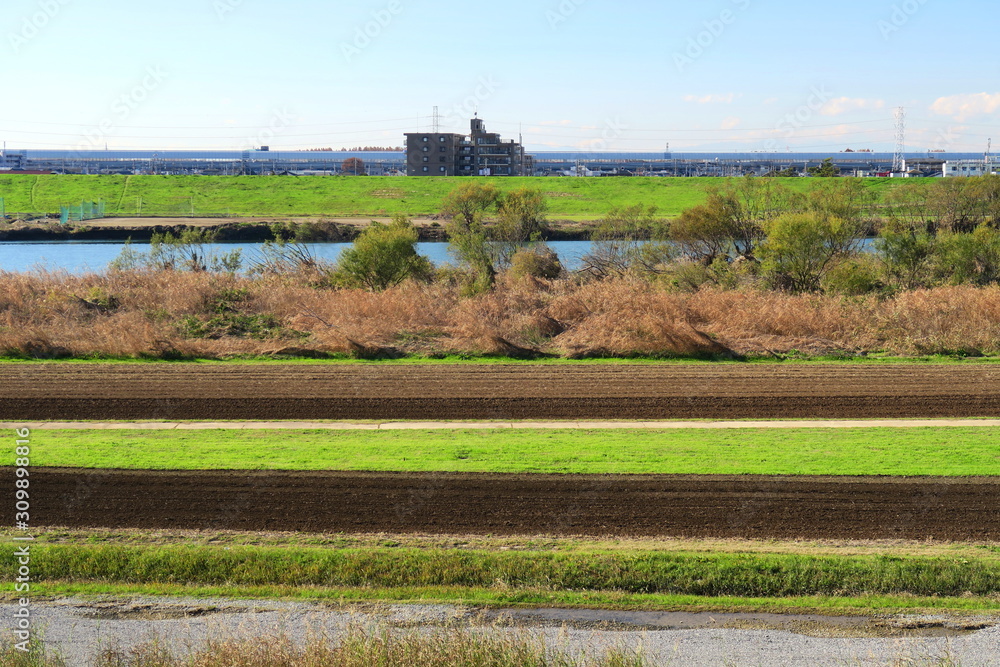 土手の上から見る種まきの済んだポピー畑のある冬の江戸川河川敷風景