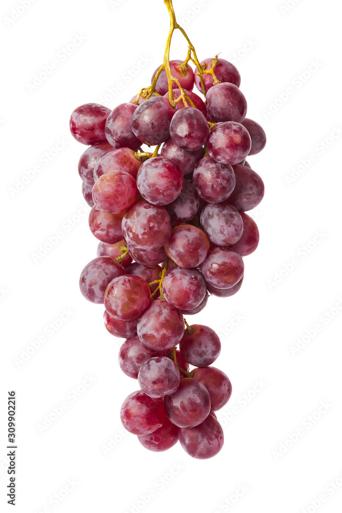 Fototapeta premium Ripe grapes