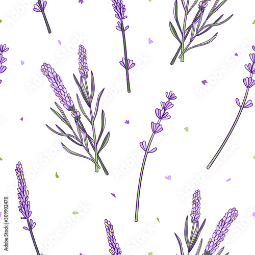Lavender seamless pattern. Floral vector background with purple flowers and green leaves. Botanical repeat graphic print