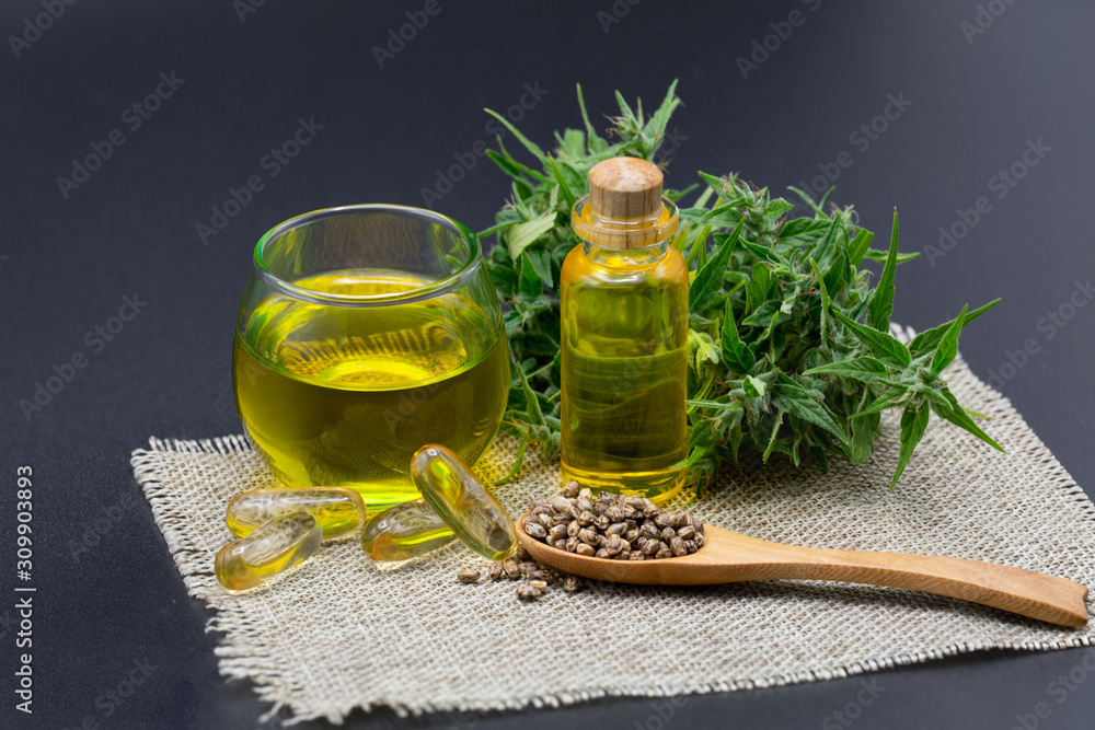 Hemp seeds and hemp oil, CBD cannabis oil extract On a black background, marijuana alternative herbal medicine concept. Hemp seeds and hemp oil, CBD cannabis oil extract On a black background, marijuana alternative herbal medicine concept.