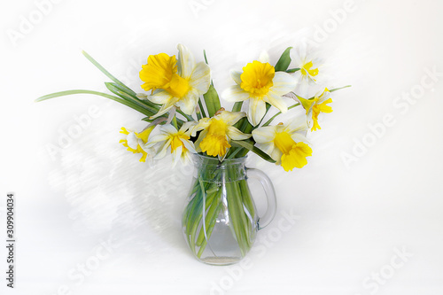 Spring flowers.A bouquet of yellow daffodils in a glass vase on a white background.
