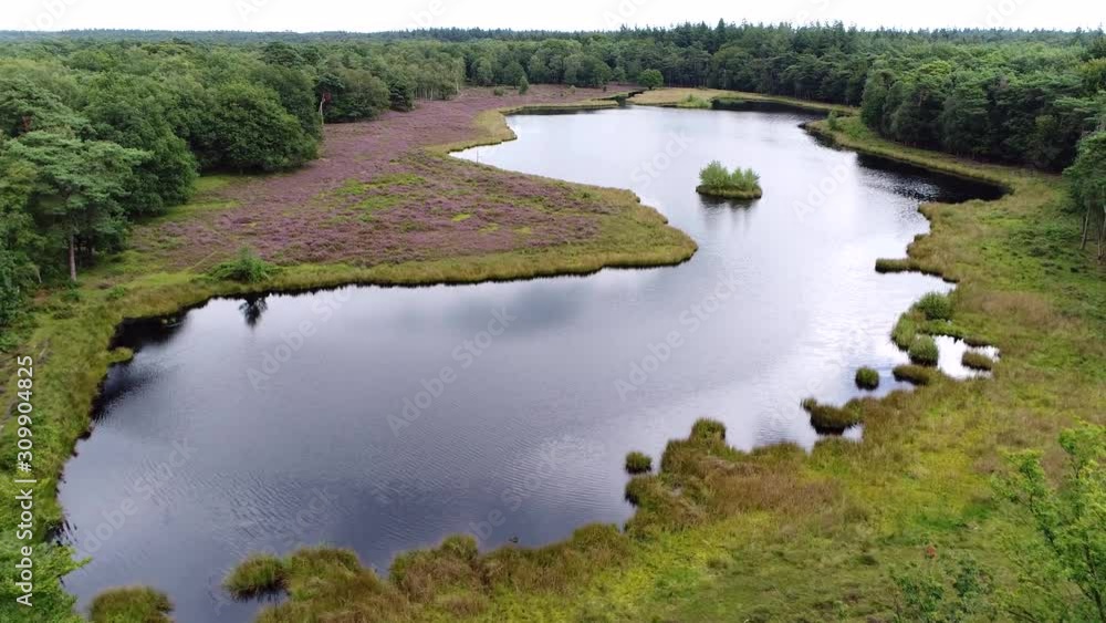 Aerial birds eye view of Klein Waschmeer is a heath lake to the south-east of Hilversum in the Dutch province of Noord-Holland showing the beautiful natural landscape 4k high resolution footage Aerial birds eye view of Klein Waschmeer is a heath lake to the south-east of Hilversum in the Dutch province of Noord-Holland showing the beautiful natural landscape 4k high resolution footage
