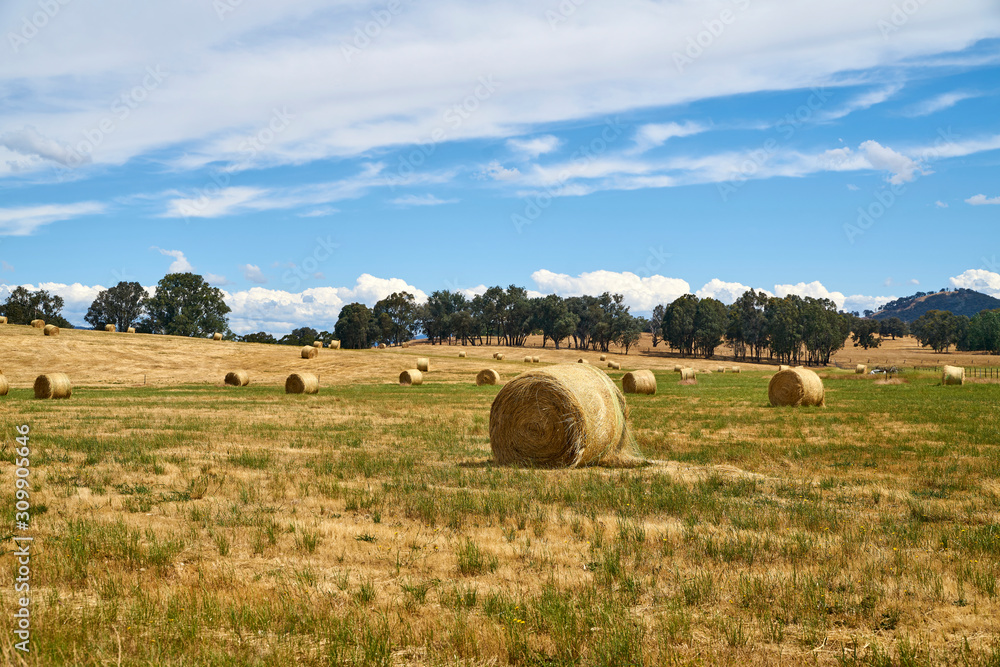 The haystack