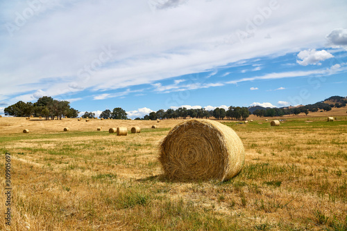 The haystack