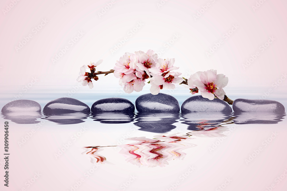 spa de flores y piedras sobre agua en fondo rosado foto de Stock | Adobe  Stock