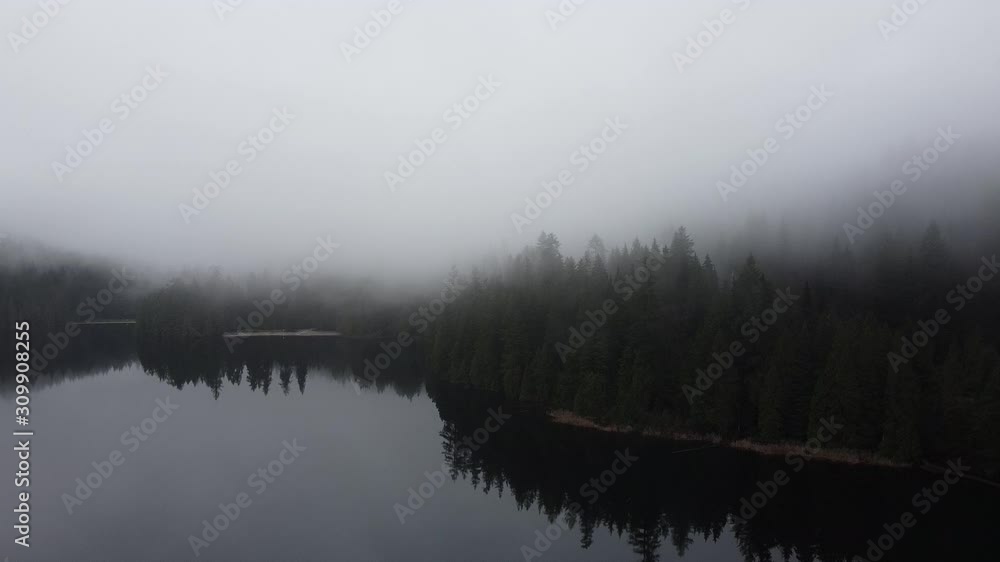 Forest reflections on the lake in the morning Forest reflections on the lake in the morning
