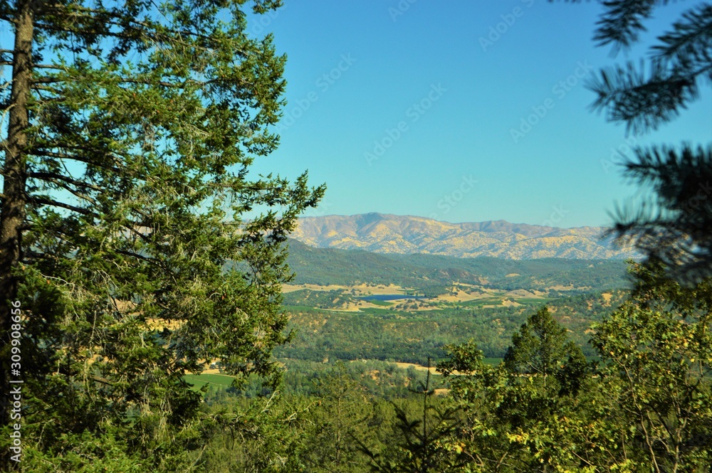 Napa County, California Landscape