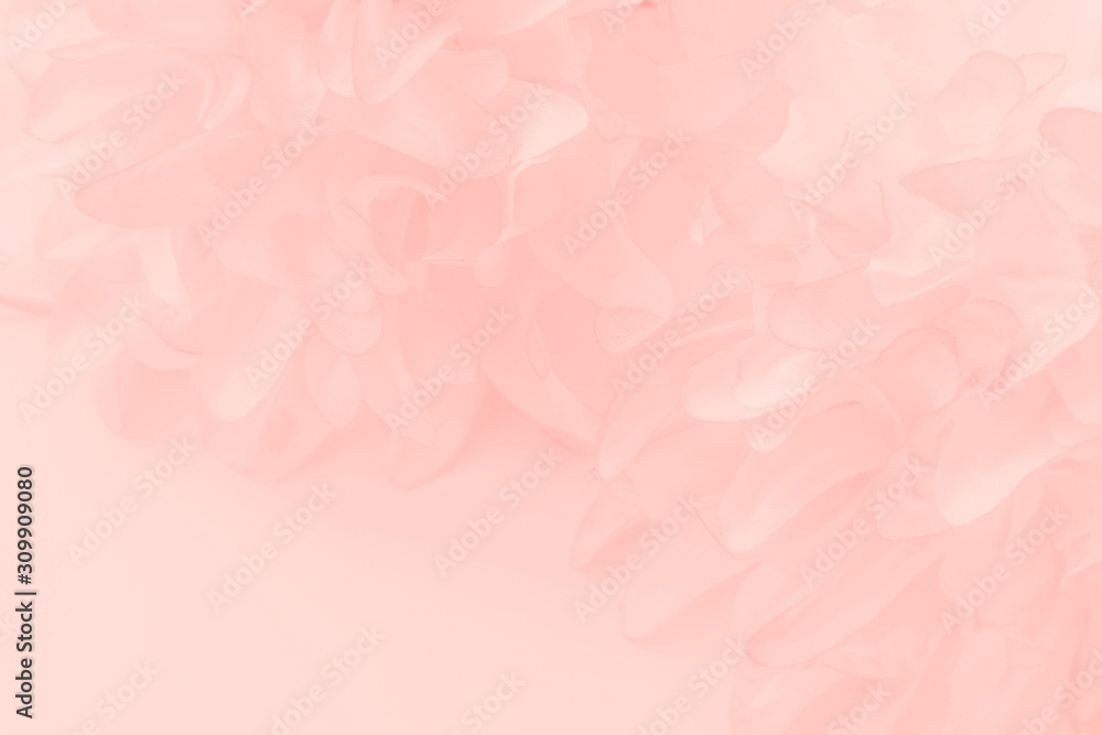 Fototapeta premium Beautiful abstract color white and pink flowers on white background and white flower frame and orange leaves background texture, flowers banner