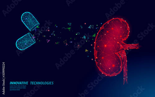 Human kidneys medicine treatment concept. Medical help therapy treatment. Urinary system cancer abdomen prevention poster template. Drugstore pill 3D vector illustration