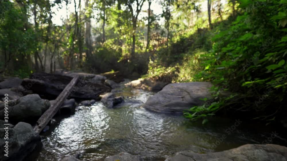 River in nature in the morning,Refreshing