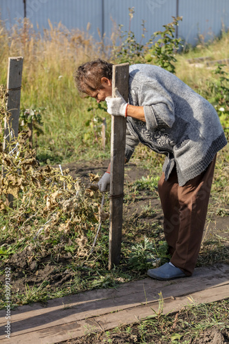 A woman removes plants from the garden in autumn