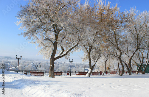 Urban recreation area at the cliff. Trees in the snow © I_n_g_r_i_t