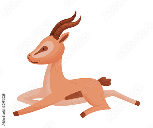 African Wild Brown-tailed Gazelle with Horns Vector Illustration