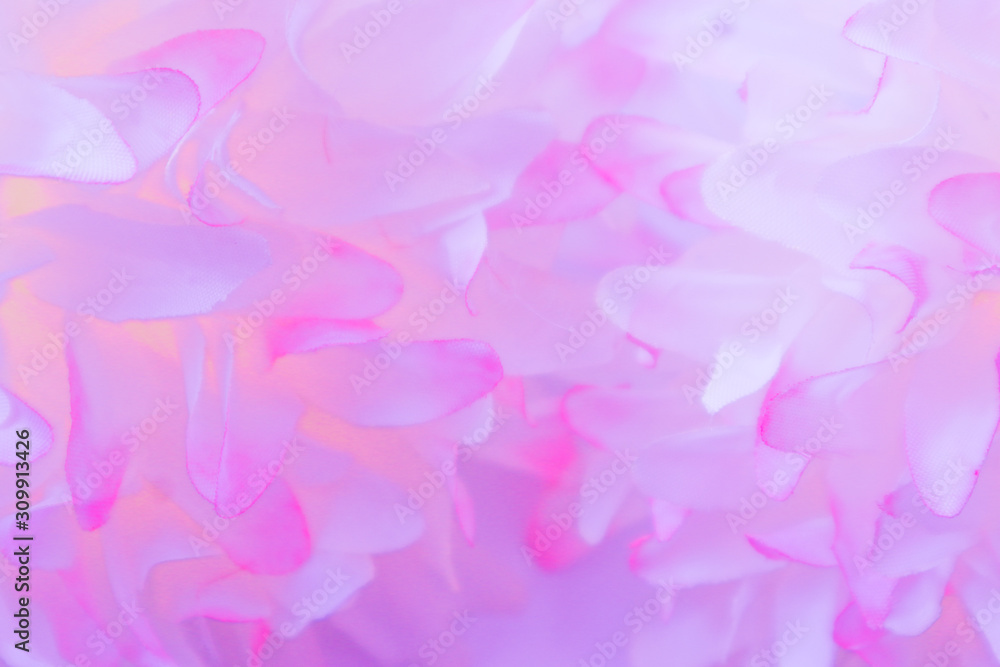 Beautiful abstract color pink and white flowers on white background and pink flower frame and purple leaves texture background, flowers banner Beautiful abstract color pink and white flowers on white background and pink flower frame and purple leaves texture background, flowers banner