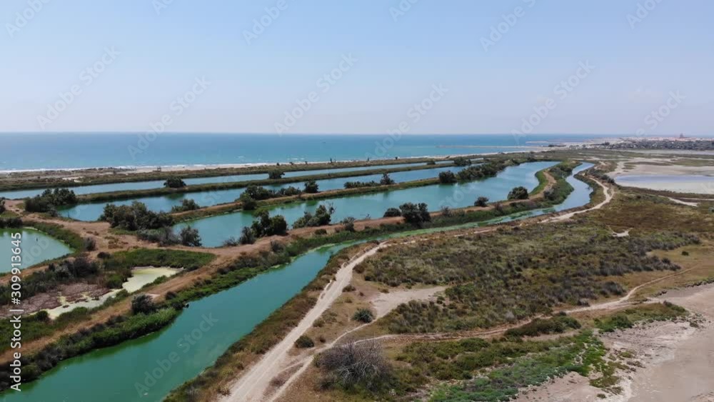 Camargue Frankreich Camargue Frankreich