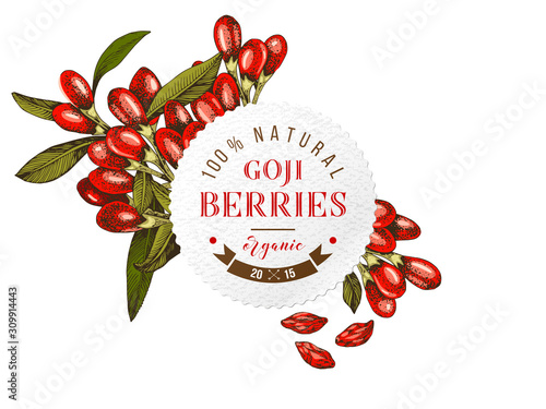 Round emblem with hand drawn goji berries and leaves