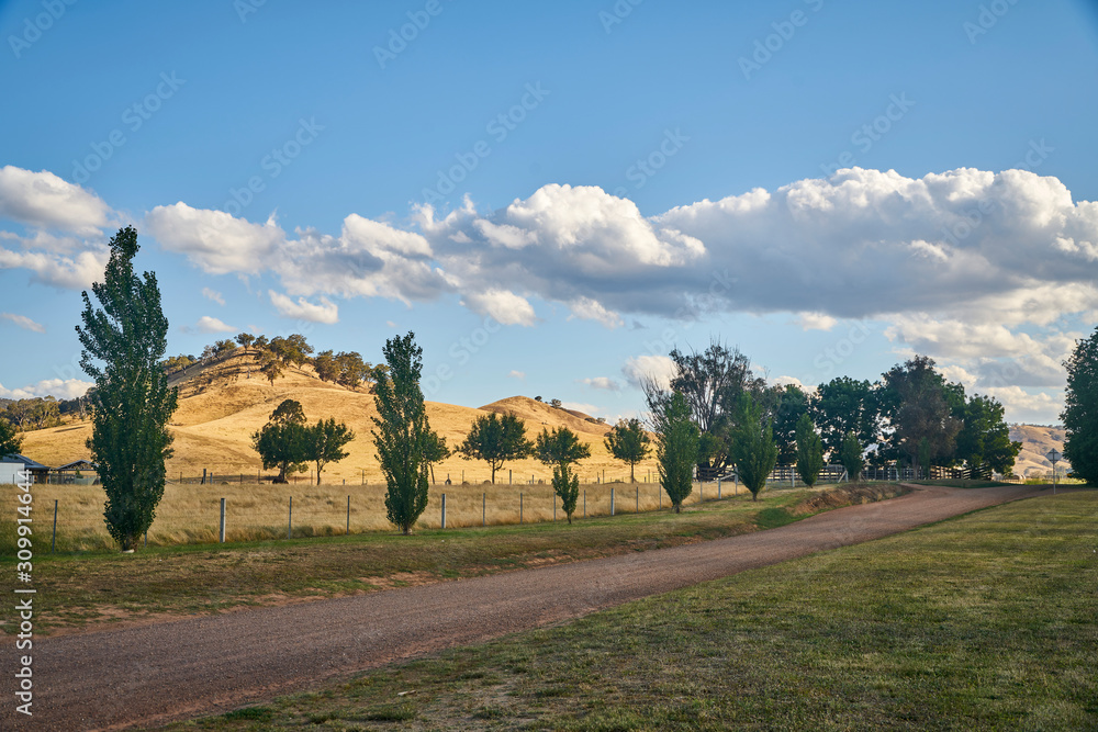 Fototapeta premium Landscape