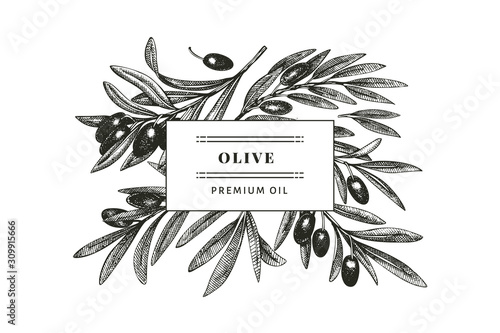 Olive branch design template. Hand drawn vector food illustration. Engraved style mediterranean plant. Retro botanical picture.