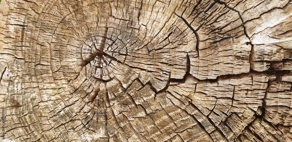 Fototapeta premium stumpf Labyrinth