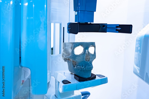 Oral and maxillofacial surgery. Study of the human skull. Human skull model. 3D medical printing. Study of the human skull. Anthropometric study of the jaws. Biometric studying. Medical equipment. photo