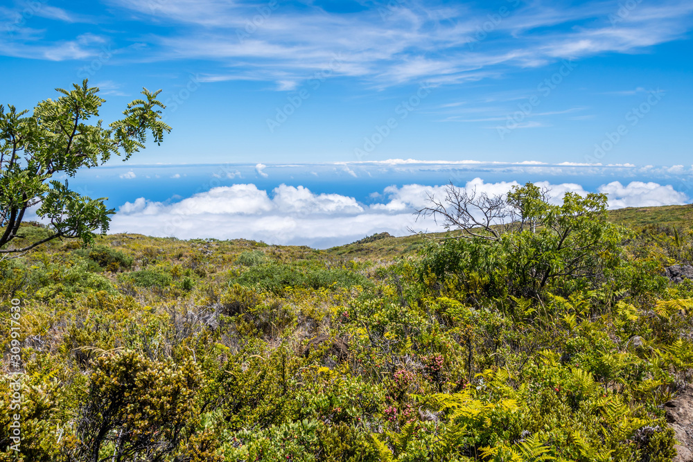 An overlooking view of nature in Maui, Hawaii