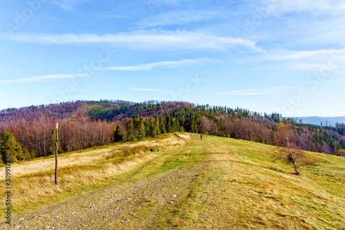 Fototapeta Naklejka Na Ścianę i Meble -  Foliage colors in Polish Beskidy mountains, Beskid Slaski, Poland