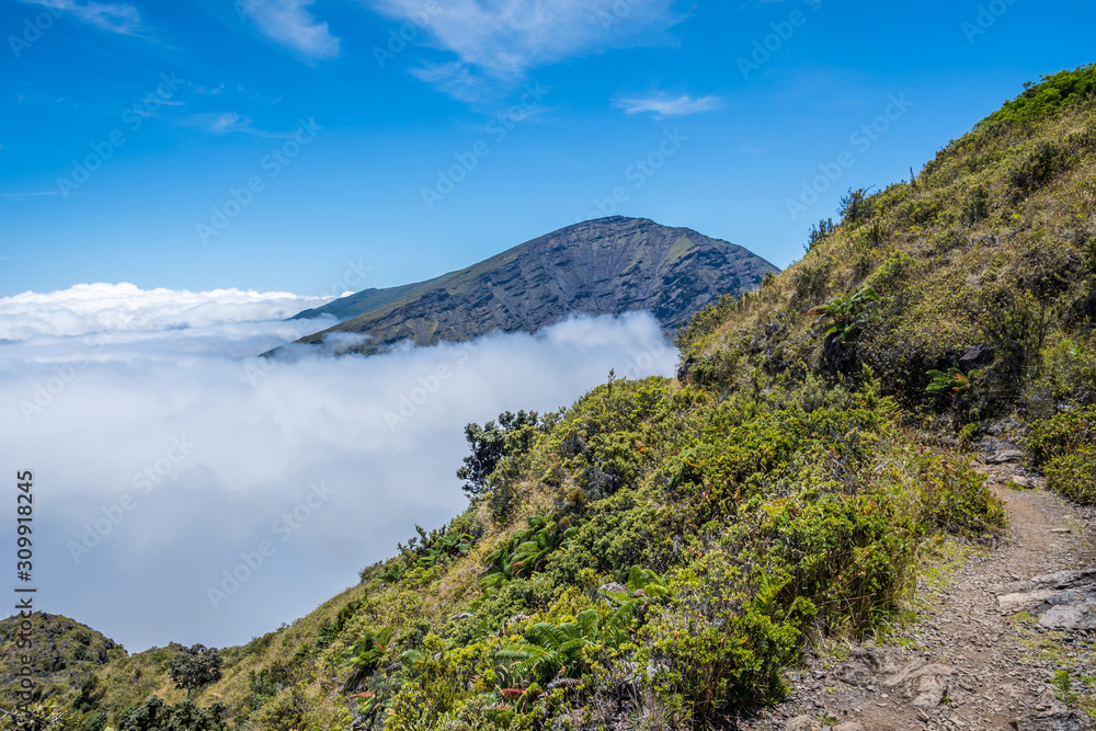 Obraz premium An overlooking view of nature in Maui, Hawaii