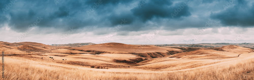 Gareja Desert, Kakheti Region, Georgia. Autumn Landscape Near Sagarejo Municipality, Kakheti Region